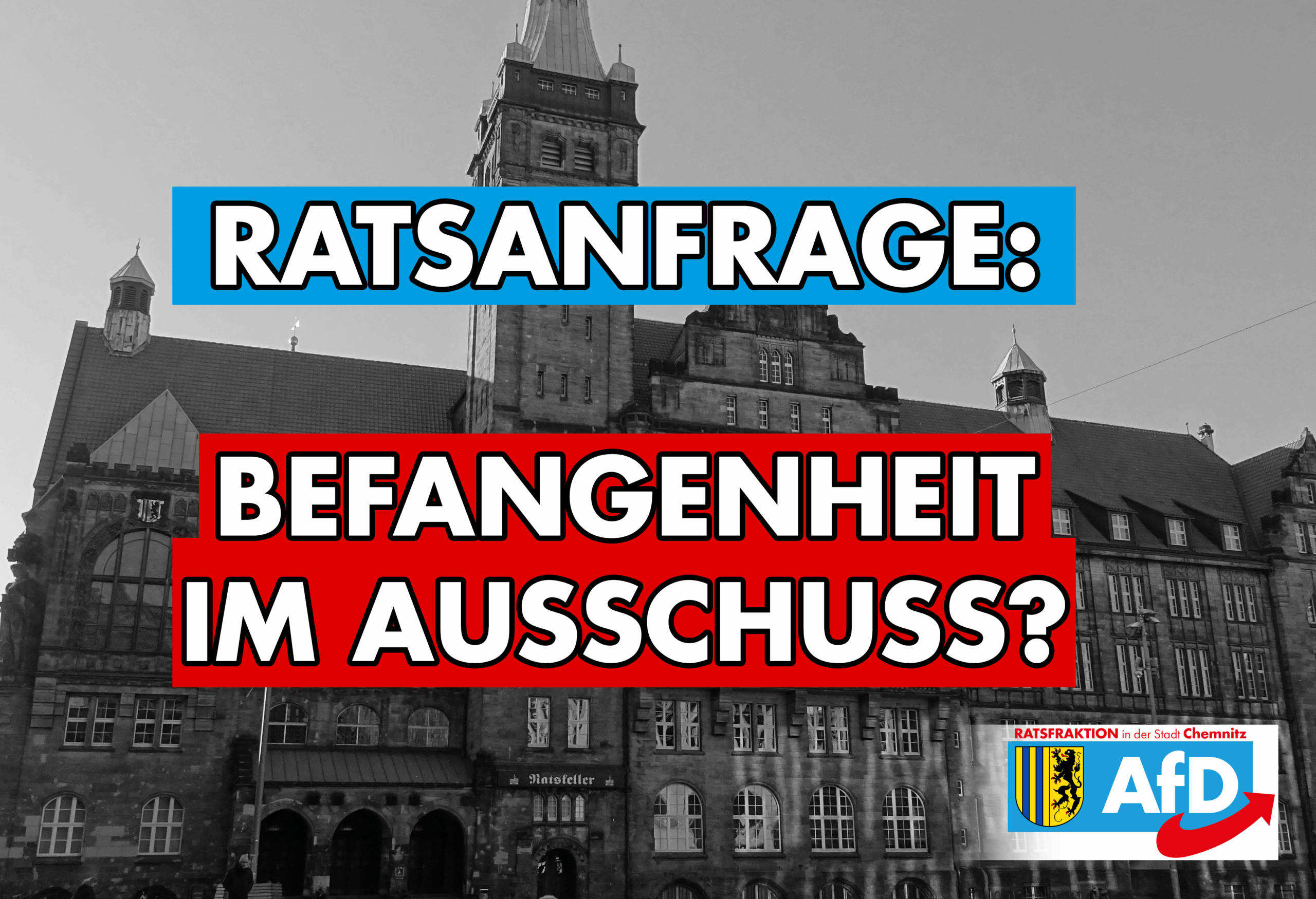 Vetternwirtschaft im Schul- und Sportausschuss?