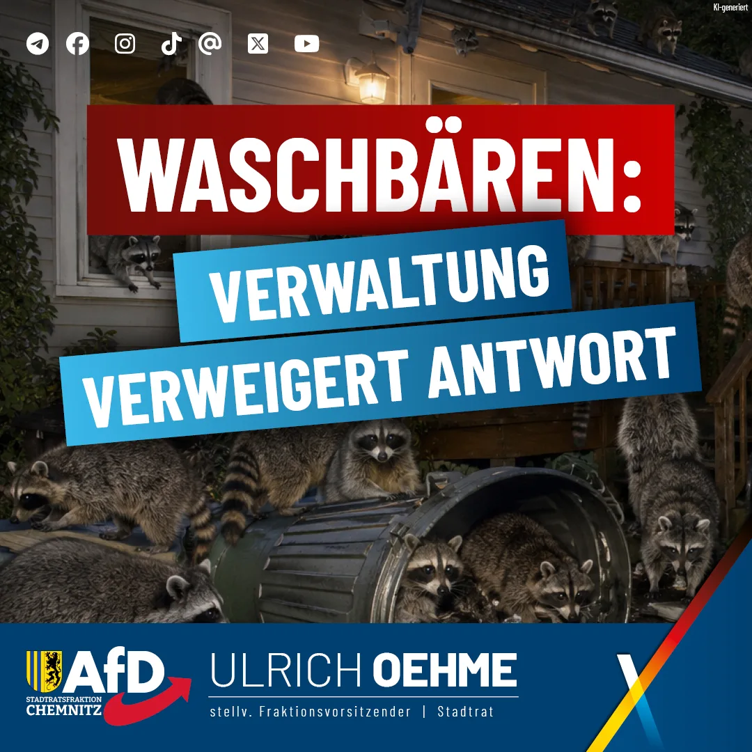 Der Waschbär ist los!