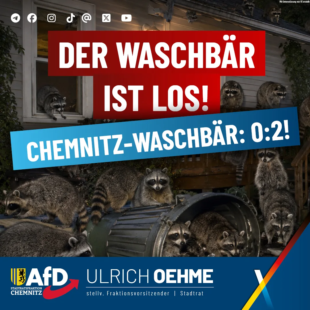Der Waschbär ist los!  Chemnitz-Waschbär: 0:2!